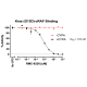 Kras (G13D)/cRAF/CYPA/Inhibitor Assay Kit 